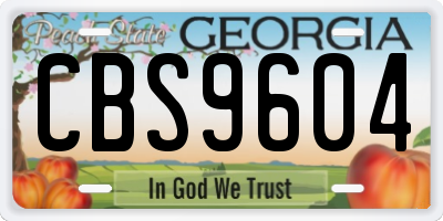 GA license plate CBS9604