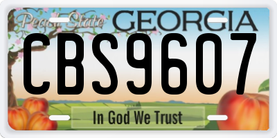 GA license plate CBS9607