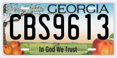GA license plate CBS9613