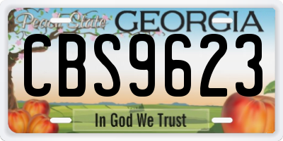 GA license plate CBS9623