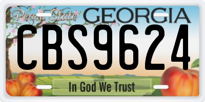 GA license plate CBS9624