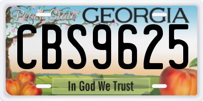 GA license plate CBS9625