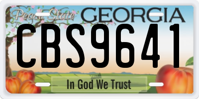 GA license plate CBS9641