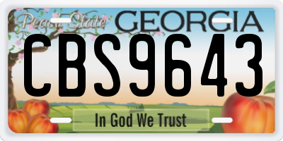 GA license plate CBS9643