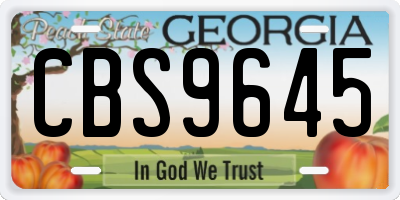 GA license plate CBS9645