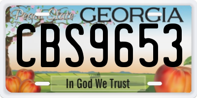 GA license plate CBS9653