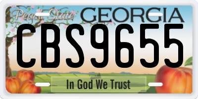 GA license plate CBS9655
