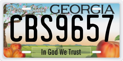 GA license plate CBS9657