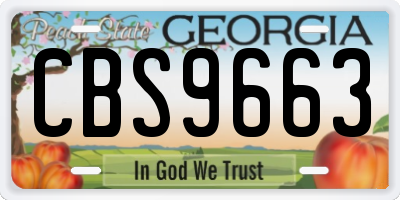 GA license plate CBS9663