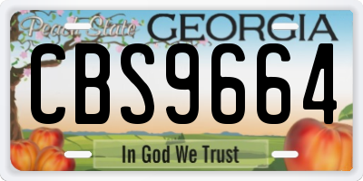 GA license plate CBS9664
