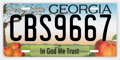 GA license plate CBS9667
