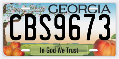 GA license plate CBS9673