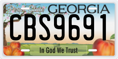 GA license plate CBS9691