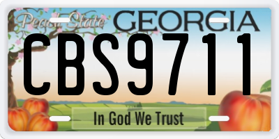 GA license plate CBS9711