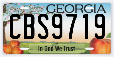 GA license plate CBS9719