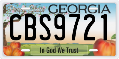 GA license plate CBS9721