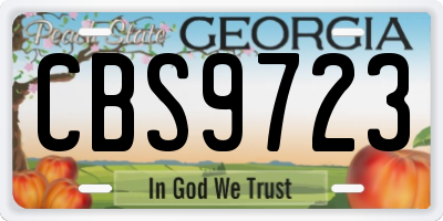 GA license plate CBS9723