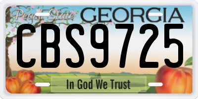 GA license plate CBS9725