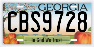 GA license plate CBS9728