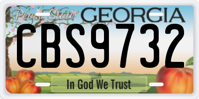 GA license plate CBS9732