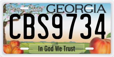GA license plate CBS9734
