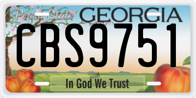 GA license plate CBS9751