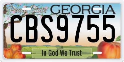 GA license plate CBS9755