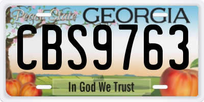 GA license plate CBS9763