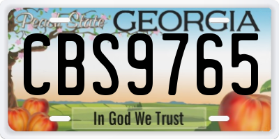GA license plate CBS9765