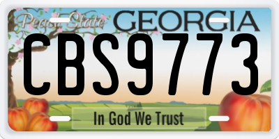 GA license plate CBS9773