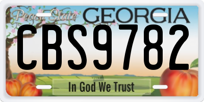 GA license plate CBS9782