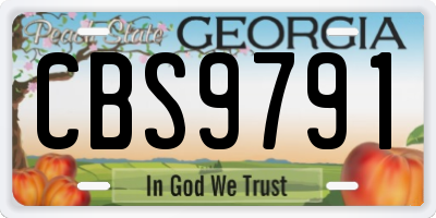 GA license plate CBS9791