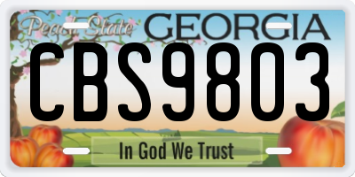 GA license plate CBS9803