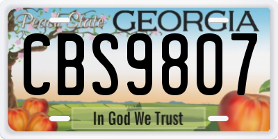 GA license plate CBS9807