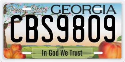 GA license plate CBS9809
