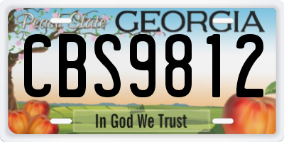 GA license plate CBS9812