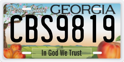 GA license plate CBS9819