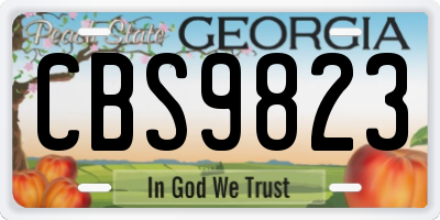 GA license plate CBS9823