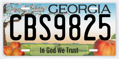 GA license plate CBS9825