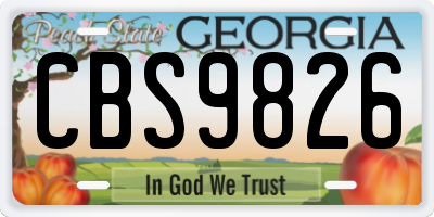GA license plate CBS9826