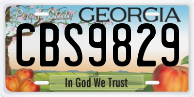 GA license plate CBS9829