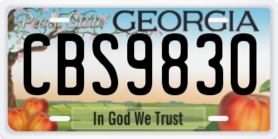 GA license plate CBS9830