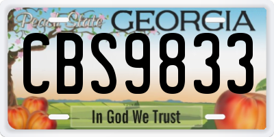 GA license plate CBS9833