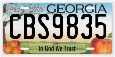 GA license plate CBS9835