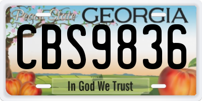 GA license plate CBS9836