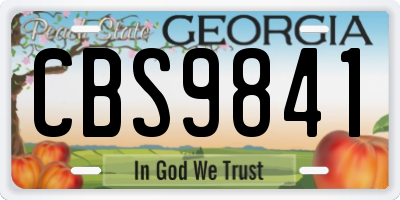 GA license plate CBS9841