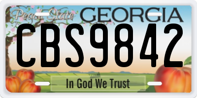 GA license plate CBS9842