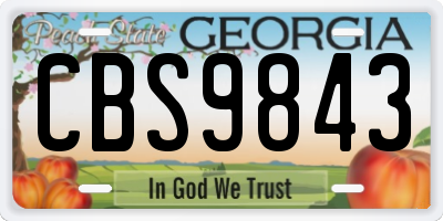 GA license plate CBS9843
