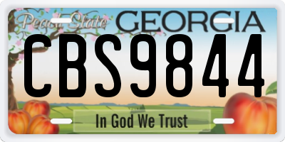 GA license plate CBS9844