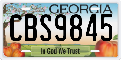 GA license plate CBS9845
